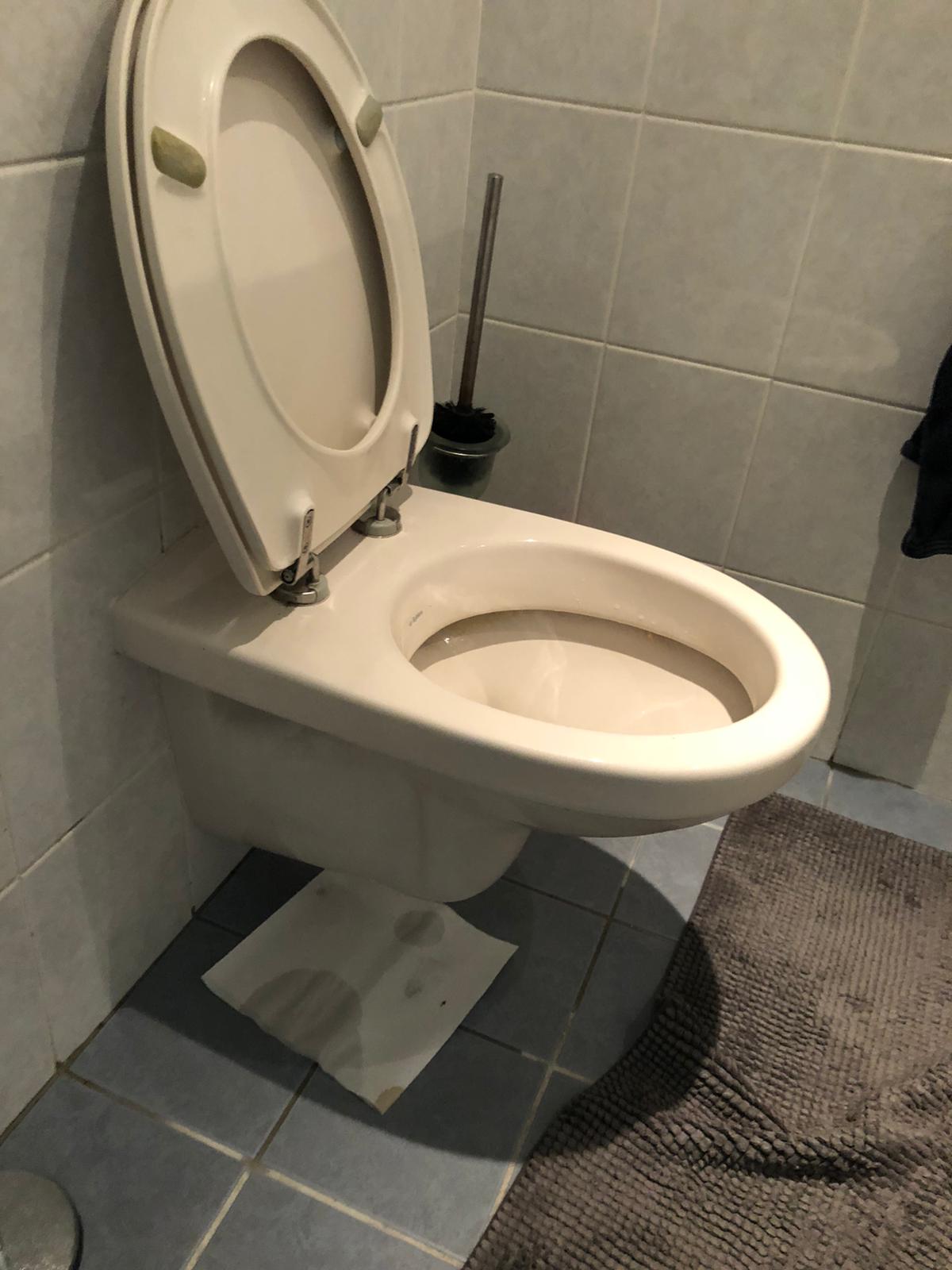 hangtoilet Wijk bij Duurstede